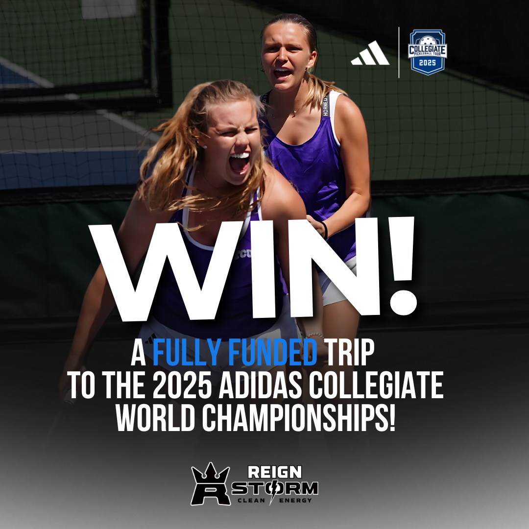 DUPR Blog Understanding All Pickleball Ratings